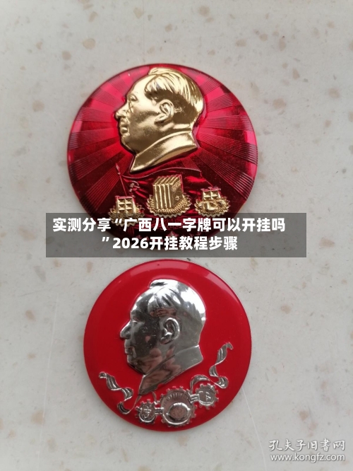 实测分享“广西八一字牌可以开挂吗”2026开挂教程步骤-第3张图片