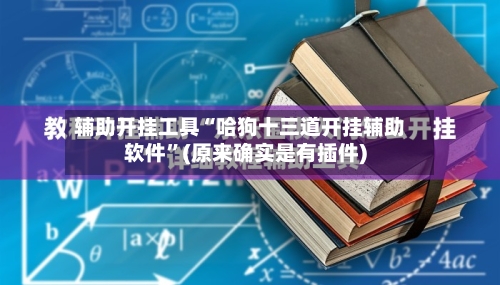 辅助开挂工具“哈狗十三道开挂辅助软件	”(原来确实是有插件)-第2张图片