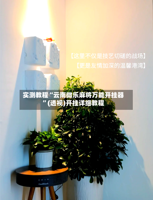 实测教程“云南微乐麻将万能开挂器”(透视)开挂详细教程-第2张图片