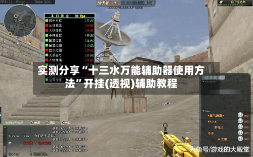实测分享“十三水万能辅助器使用方法”开挂(透视)辅助教程-第2张图片