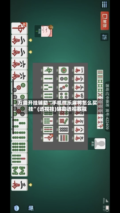 万能开挂辅助“手机微乐麻将怎么买挂”(透视挂)辅助透视教程-第2张图片