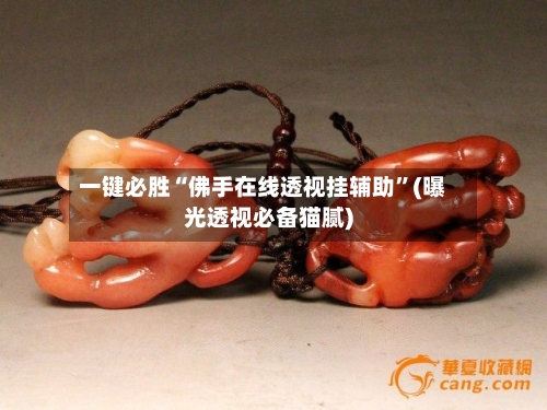 一键必胜“佛手在线透视挂辅助”(曝光透视必备猫腻)-第2张图片