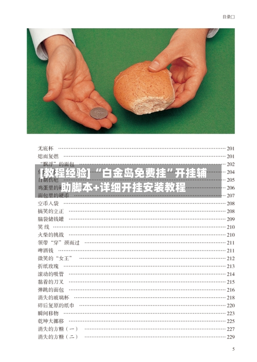 [教程经验] “白金岛免费挂”开挂辅助脚本+详细开挂安装教程-第2张图片