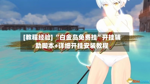 [教程经验] “白金岛免费挂”开挂辅助脚本+详细开挂安装教程-第3张图片
