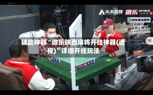 辅助神器“微乐陕西麻将开挂神器(透视)	”详细开挂玩法-第2张图片
