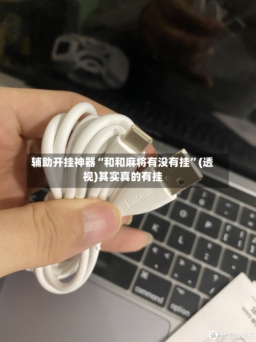 辅助开挂神器“和和麻将有没有挂”(透视)其实真的有挂-第2张图片