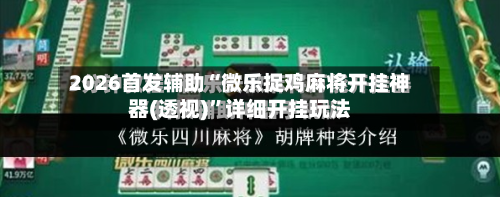 2026首发辅助“微乐捉鸡麻将开挂神器(透视)	”详细开挂玩法-第2张图片