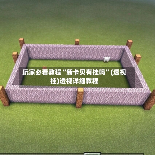 玩家必看教程“新卡贝有挂吗	”(透视挂)透视详细教程-第2张图片