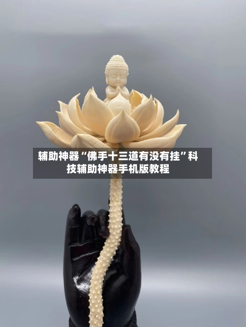 辅助神器“佛手十三道有没有挂”科技辅助神器手机版教程-第2张图片