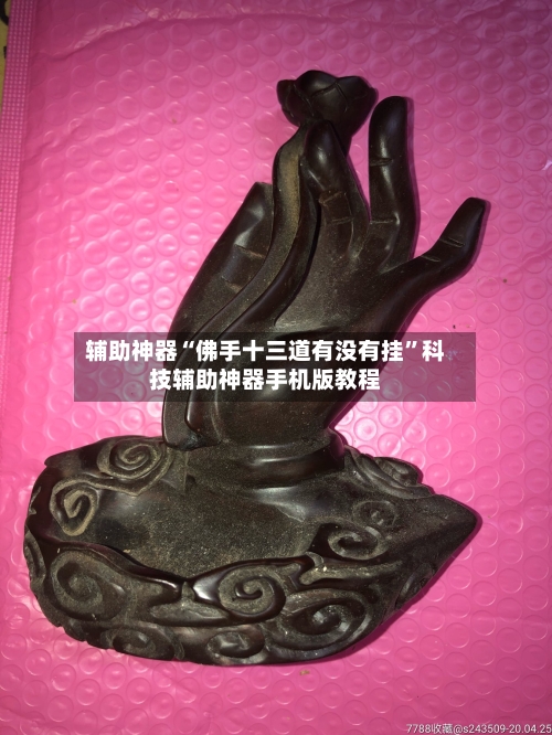 辅助神器“佛手十三道有没有挂”科技辅助神器手机版教程-第3张图片