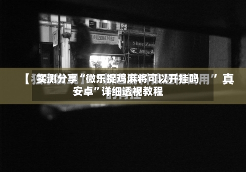实测分享“微乐捉鸡麻将可以开挂吗安卓”详细透视教程-第2张图片