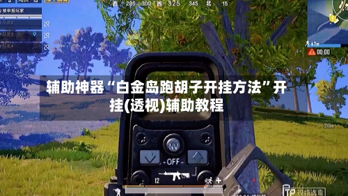 辅助神器“白金岛跑胡子开挂方法”开挂(透视)辅助教程