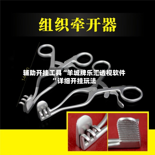 辅助开挂工具“羊城牌乐汇透视软件”详细开挂玩法-第2张图片