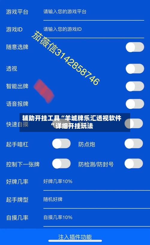 辅助开挂工具“羊城牌乐汇透视软件	”详细开挂玩法-第3张图片