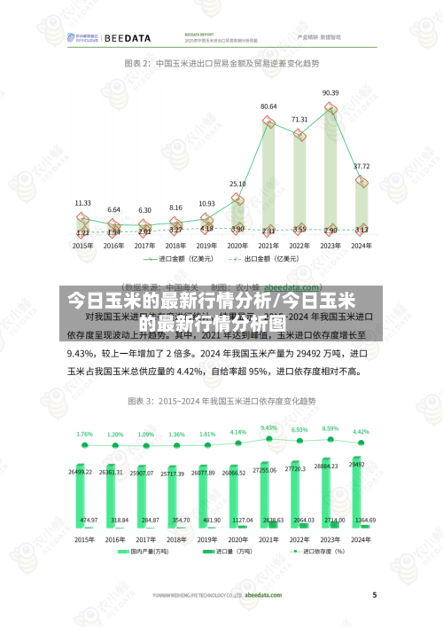 今日玉米的最新行情分析/今日玉米的最新行情分析图-第2张图片