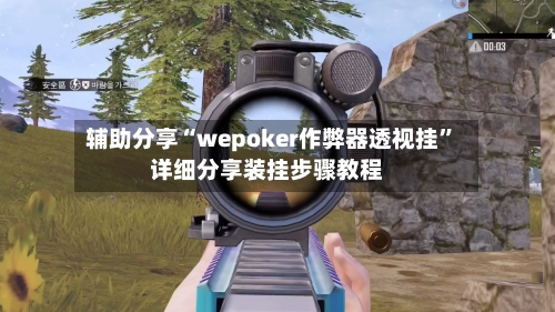 辅助分享“wepoker作弊器透视挂	”详细分享装挂步骤教程-第2张图片