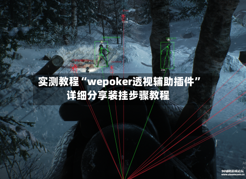 实测教程“wepoker透视辅助插件	”详细分享装挂步骤教程-第2张图片