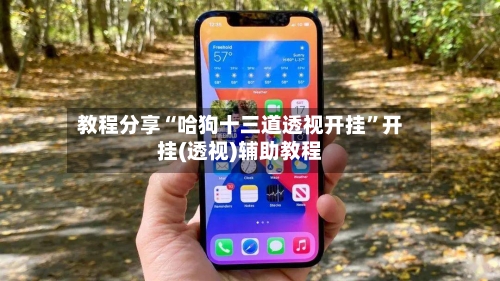 教程分享“哈狗十三道透视开挂	”开挂(透视)辅助教程-第2张图片