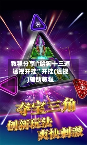 教程分享“哈狗十三道透视开挂”开挂(透视)辅助教程-第3张图片