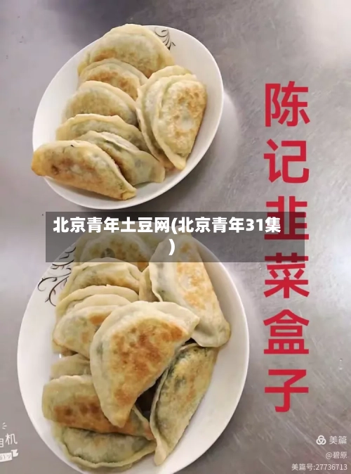 北京青年土豆网(北京青年31集)-第2张图片