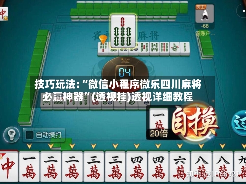 技巧玩法:“微信小程序微乐四川麻将必赢神器”(透视挂)透视详细教程-第2张图片