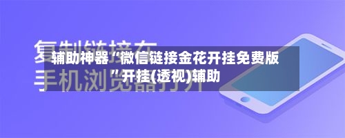 辅助神器“微信链接金花开挂免费版”开挂(透视)辅助-第3张图片