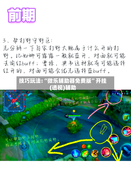 技巧玩法:“微乐辅助器免费版”开挂(透视)辅助-第2张图片