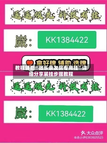 教程辅助“微乐亲友房专用挂”详细分享装挂步骤教程-第2张图片