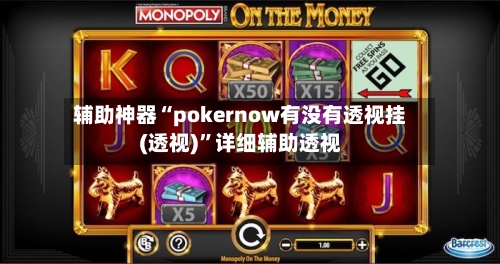 辅助神器“pokernow有没有透视挂(透视)”详细辅助透视-第3张图片
