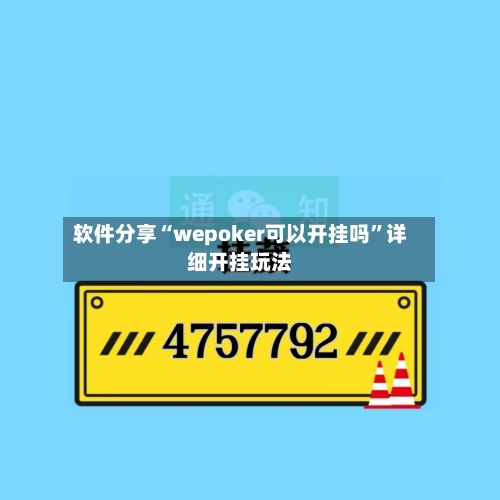 软件分享“wepoker可以开挂吗	”详细开挂玩法-第2张图片
