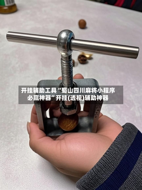 开挂辅助工具“蜀山四川麻将小程序必赢神器”开挂(透视)辅助神器-第3张图片