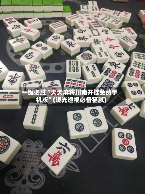 一键必胜“天天麻将川南开挂免费手机版”(曝光透视必备猫腻)
