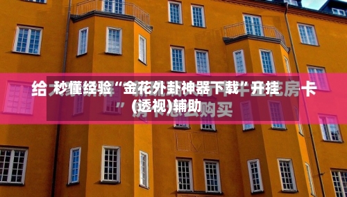 秒懂经验“金花外卦神器下载”开挂(透视)辅助-第3张图片