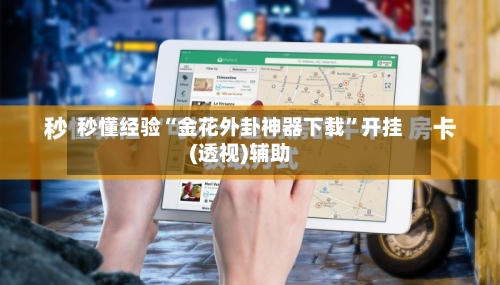 秒懂经验“金花外卦神器下载”开挂(透视)辅助-第2张图片