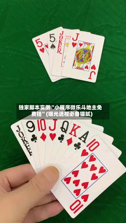 独家脚本实测“小程序微乐斗地主免费挂”(曝光透视必备猫腻)-第2张图片