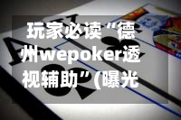 玩家必读“德州wepoker透视辅助”(曝光透视必备猫腻)-第2张图片