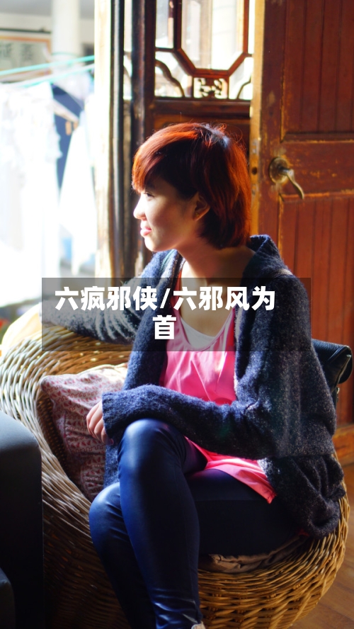 六疯邪侠/六邪风为首-第2张图片