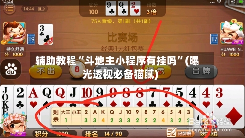辅助教程“斗地主小程序有挂吗”(曝光透视必备猫腻)-第2张图片