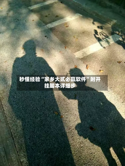 秒懂经验“家乡大贰必赢软件”附开挂脚本详细步-第2张图片
