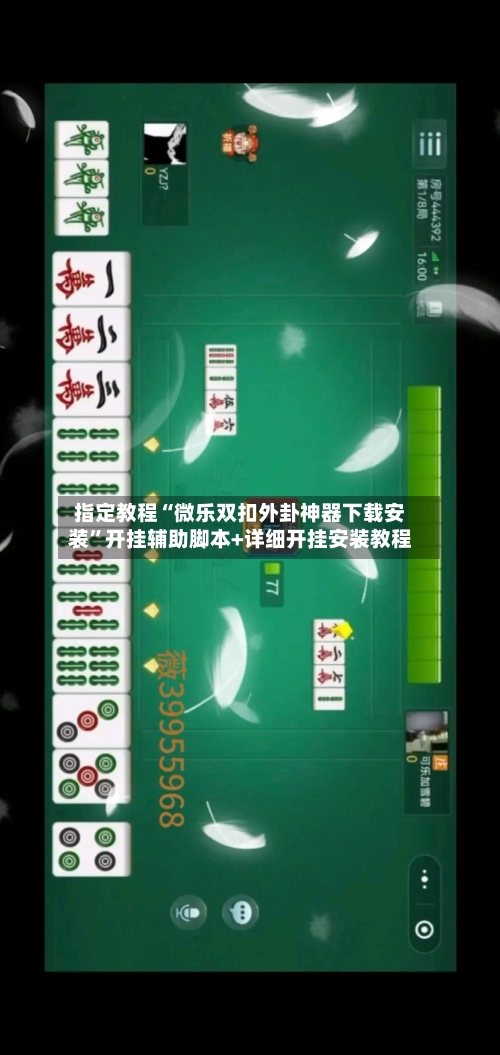 指定教程“微乐双扣外卦神器下载安装	”开挂辅助脚本+详细开挂安装教程-第2张图片