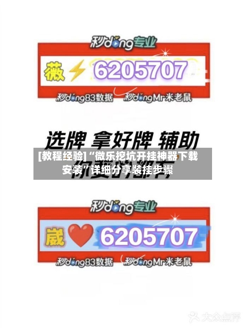 [教程经验]“微乐挖坑开挂神器下载安装”详细分享装挂步骤-第2张图片