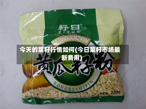 今天的菜籽行情如何(今日菜籽市场最新费用)
