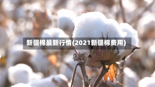 新疆棉最新行情(2021新疆棉费用)-第2张图片