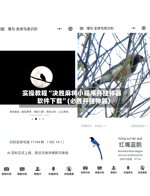 实操教程“决胜麻将小程序开挂神器软件下载”(必胜开挂神器)-第2张图片