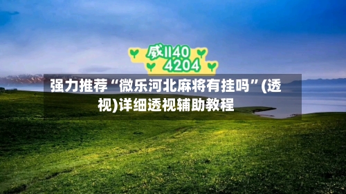 强力推荐“微乐河北麻将有挂吗”(透视)详细透视辅助教程-第2张图片