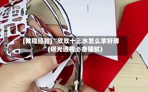 [教程经验]“欣欣十三水怎么拿好牌”(曝光透视必备猫腻)-第3张图片