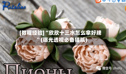 [教程经验]“欣欣十三水怎么拿好牌”(曝光透视必备猫腻)-第2张图片