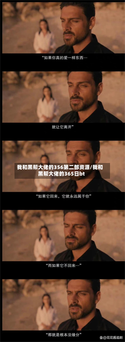 我和黑帮大佬的356第二部资源/我和黑帮大佬的365日bt-第2张图片