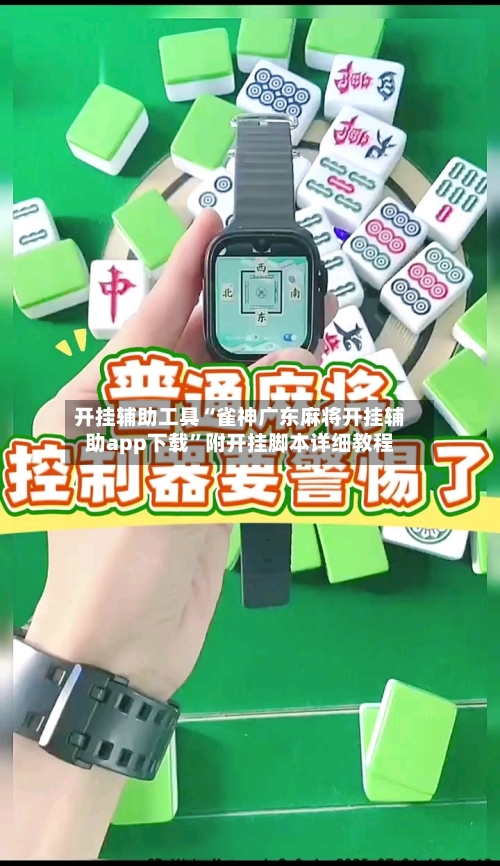 开挂辅助工具“雀神广东麻将开挂辅助app下载	”附开挂脚本详细教程-第2张图片