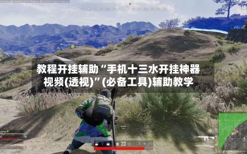 教程开挂辅助“手机十三水开挂神器视频(透视)”(必备工具)辅助教学-第2张图片